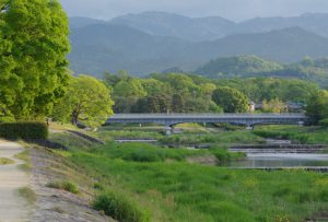 賀茂大橋 5月7日