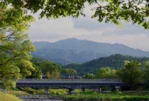 賀茂大橋 5月5日