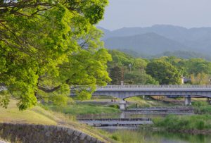 賀茂大橋 5月9日